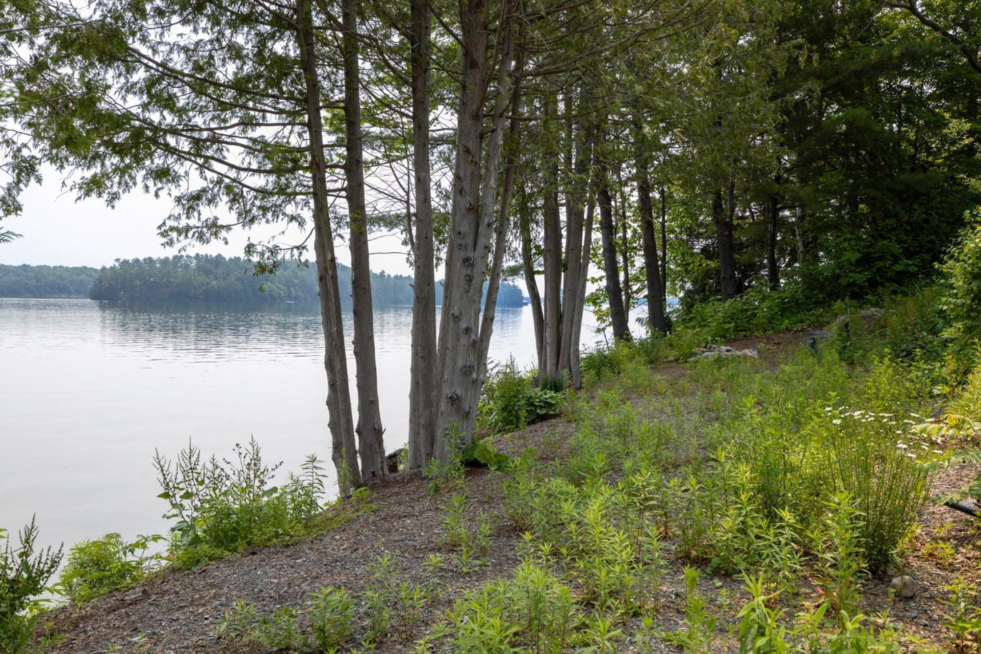 Tranquil Shores Mactier Exterior photo
